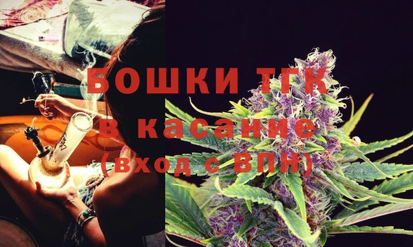 дурь Гусиноозёрск
