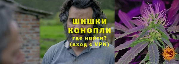 СК Гусев