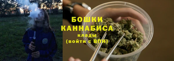 хмурый Сосновый Бор