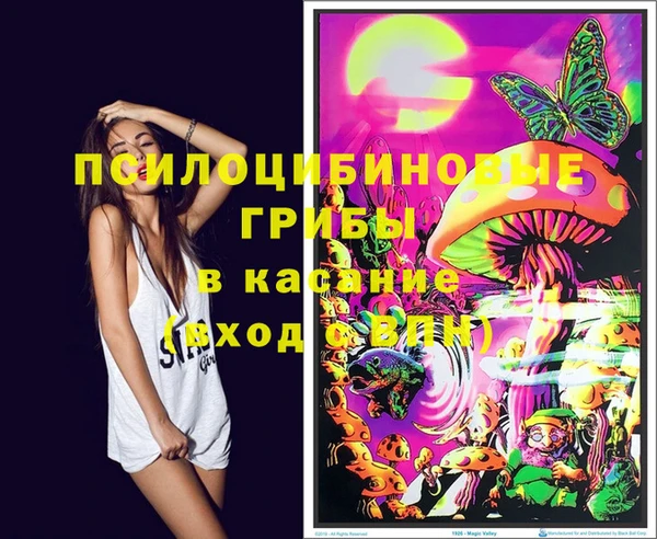 бошки Дмитров