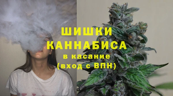 дурь Гусиноозёрск