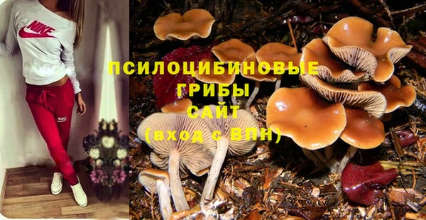 кристаллы Сосновка