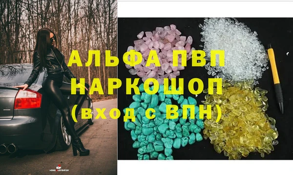 СК Гусев
