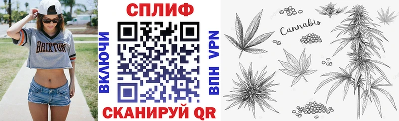 Каннабис марихуана Карабаново